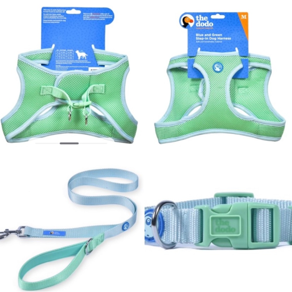 Dog Step-in Harness, Dog Collar & Leash SET! Soft Blue & Green Breathable Mesh